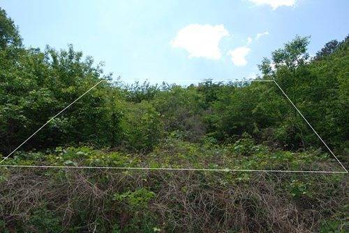 �Ź� �̹���