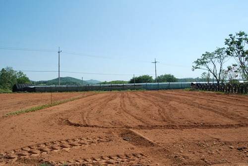 �Ź� �̹���