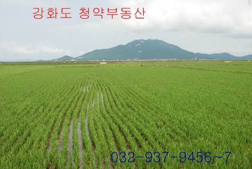 �Ź� �̹���