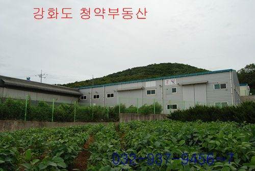 �Ź� �̹���