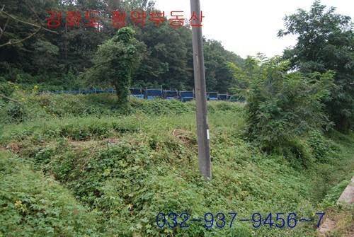 �Ź� �̹���