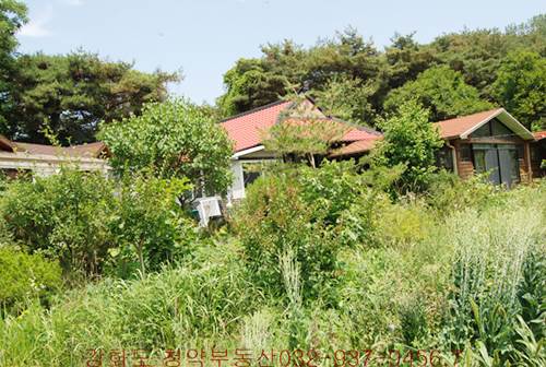 �Ź� �̹���