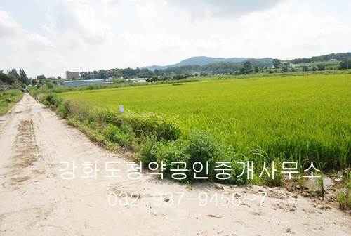 �Ź� �̹���