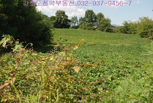 �Ź� �̹���