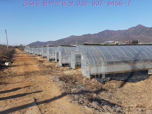 �Ź� �̹���