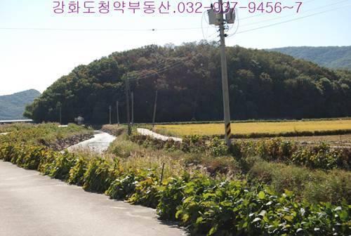 �Ź� �̹���