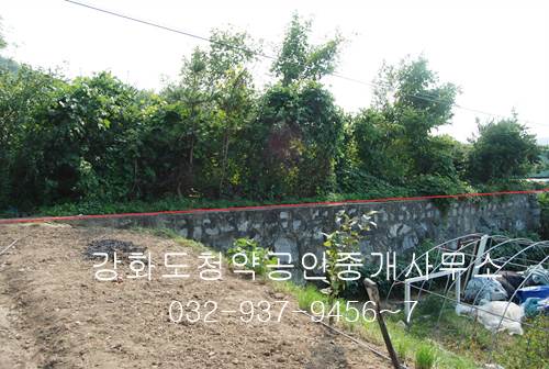 �Ź� �̹���