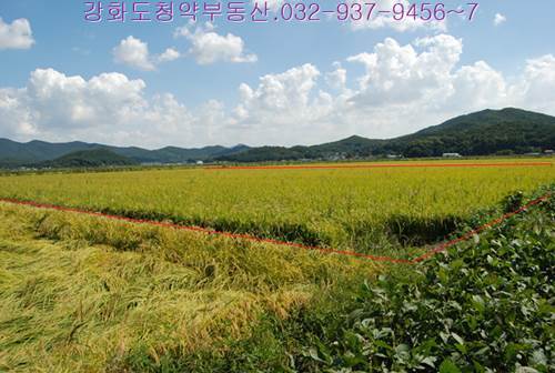 �Ź� �̹���