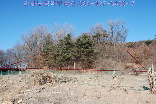 �Ź� �̹���