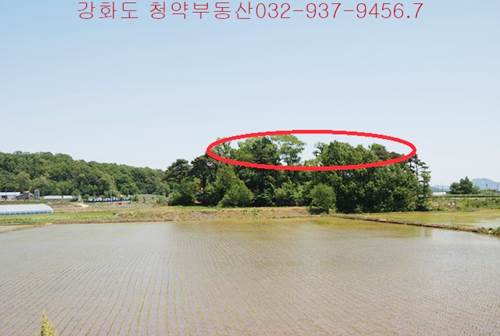 �Ź� �̹���