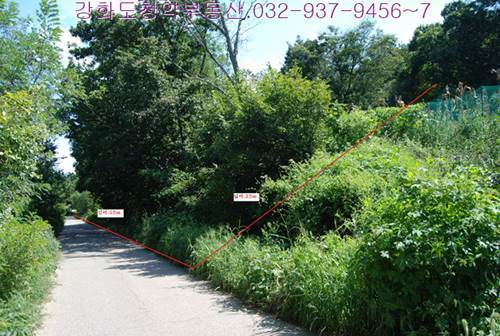 �Ź� �̹���