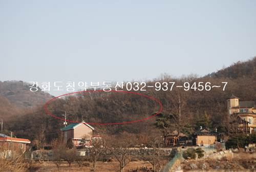 �Ź� �̹���