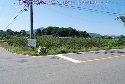 �Ź� �̹���