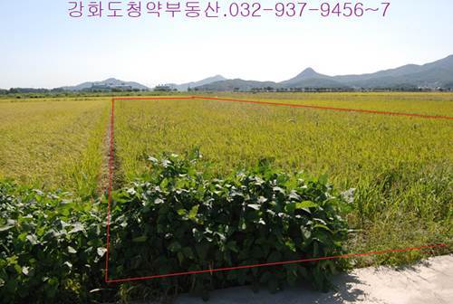 �Ź� �̹���