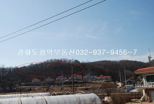 �Ź� �̹���