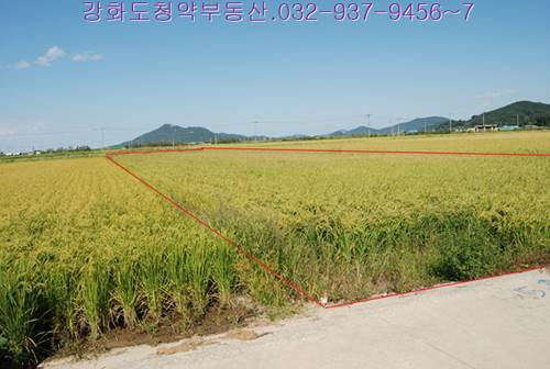 �Ź� �̹���