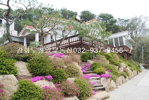 �Ź� �̹���