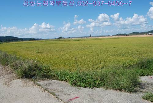 �Ź� �̹���